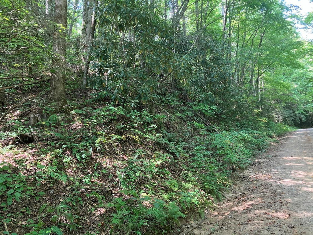 417484 Murphy Land