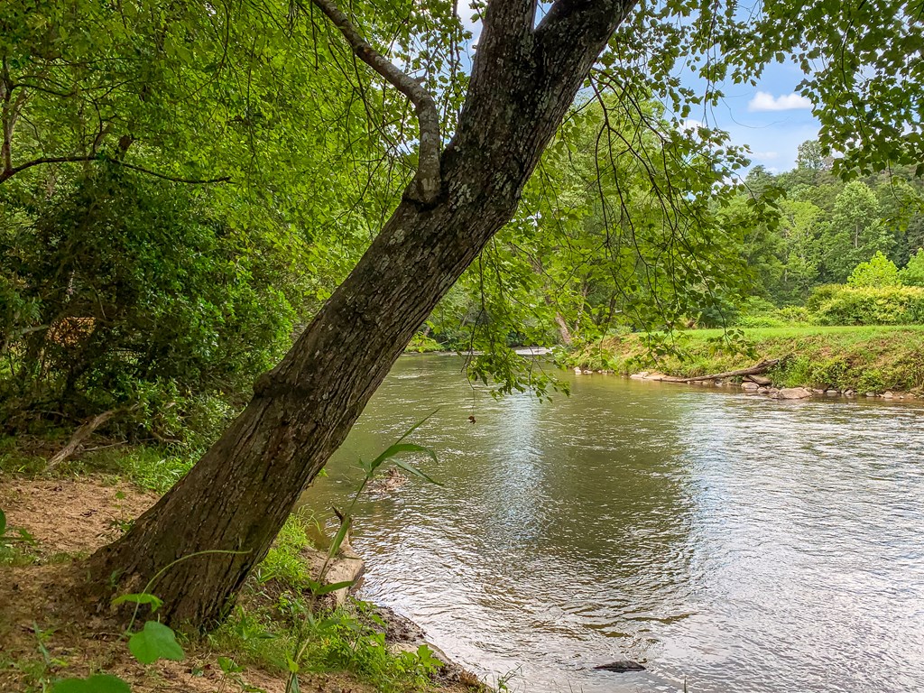 417489 Ellijay Land