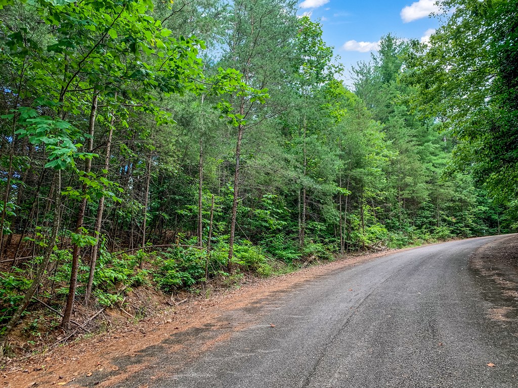 417489 Ellijay Land