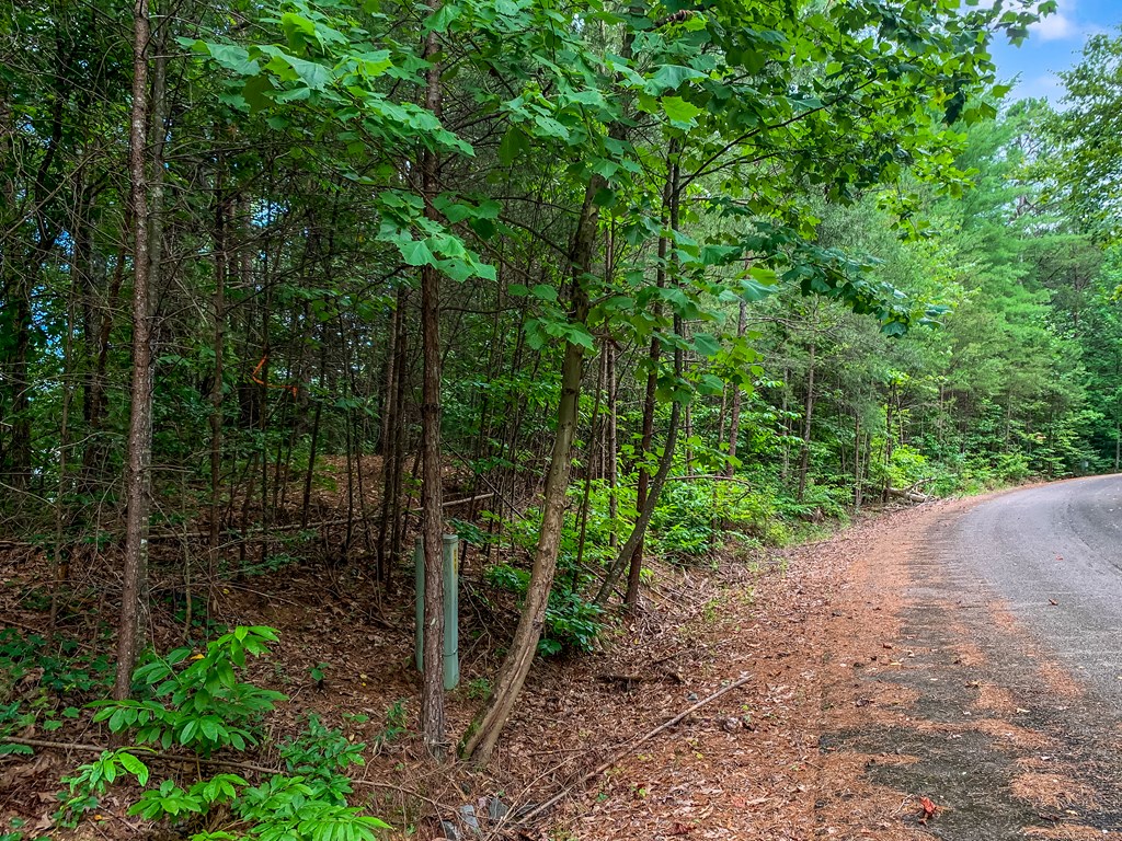 417489 Ellijay Land