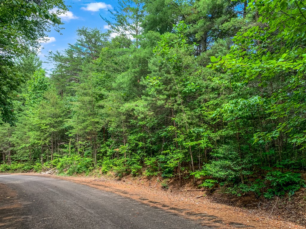 417489 Ellijay Land