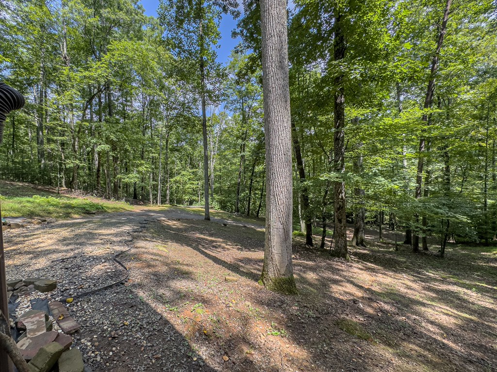 417491 Murphy Residential