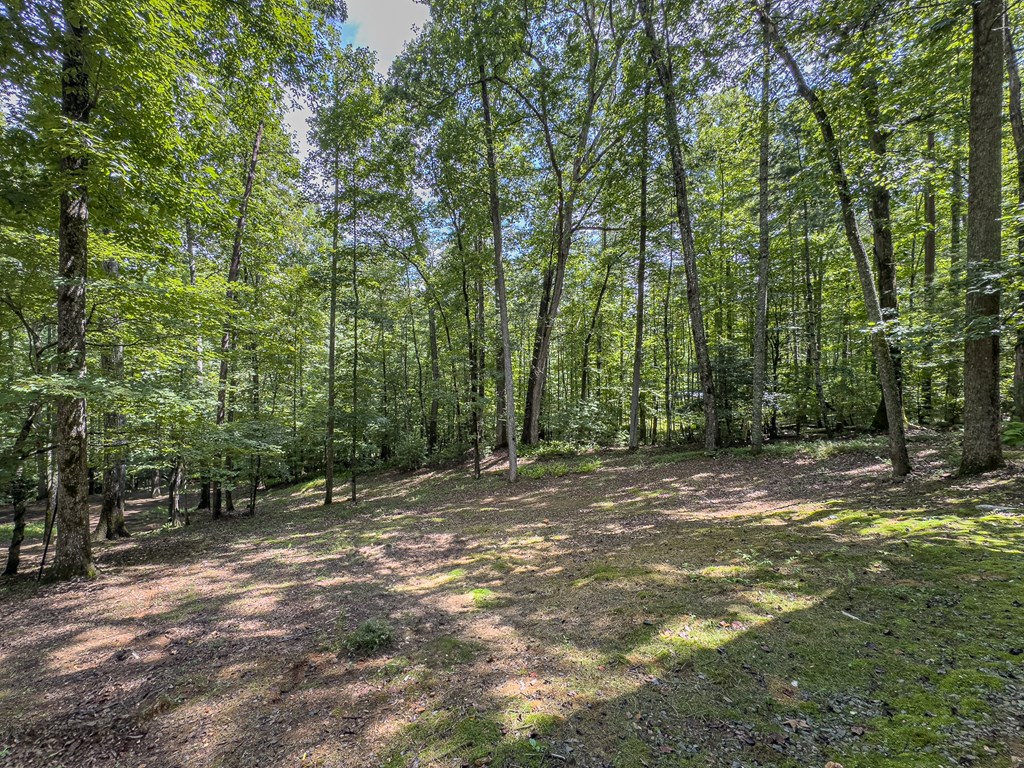 417491 Murphy Residential