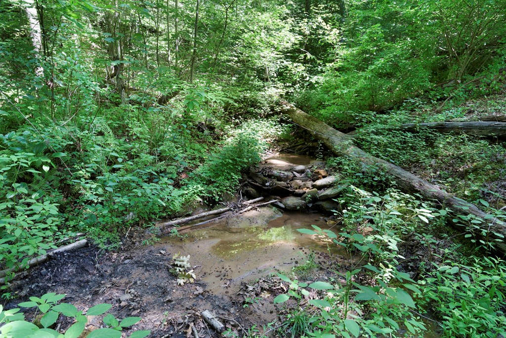 417493 Hiawassee Residential