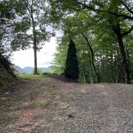417494 Hayesville Land