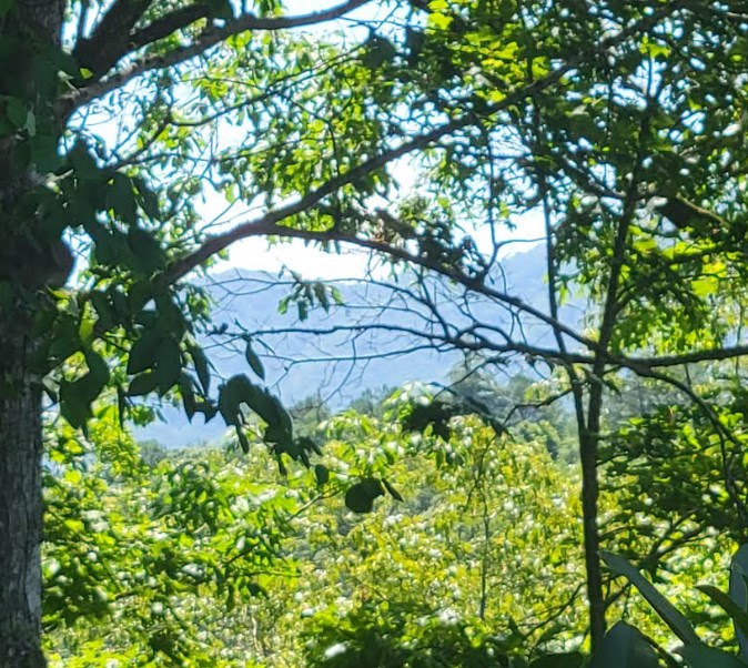 417494 Hayesville Land