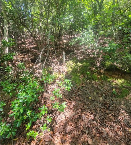 417494 Hayesville Land