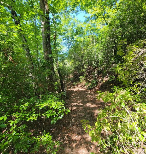 417494 Hayesville Land