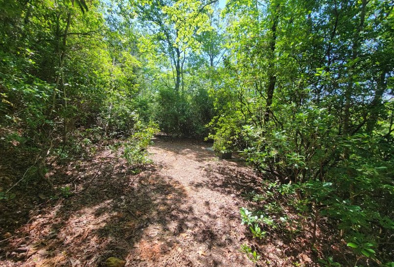417494 Hayesville Land