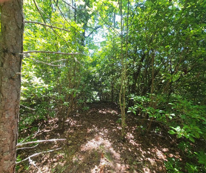417494 Hayesville Land