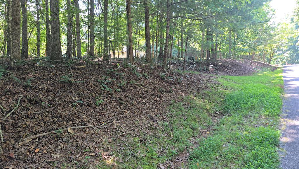 417496 Blairsville 