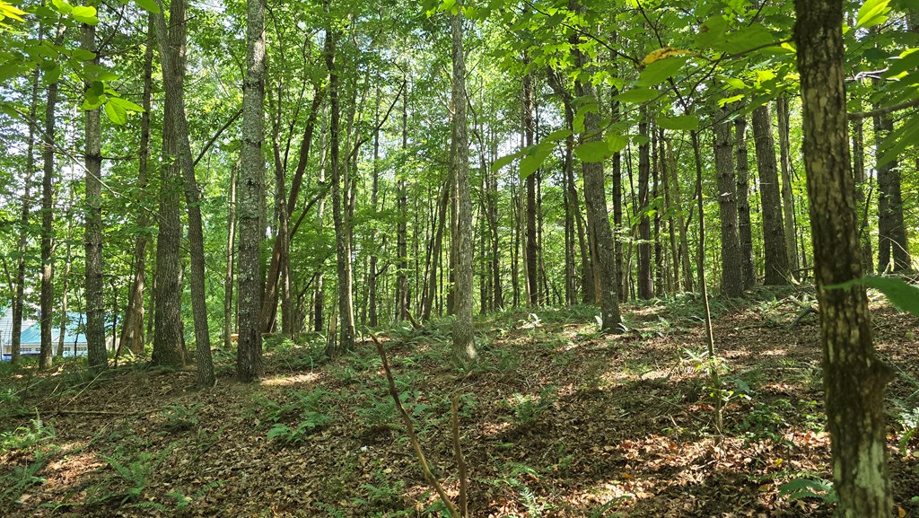 417496 Blairsville Land