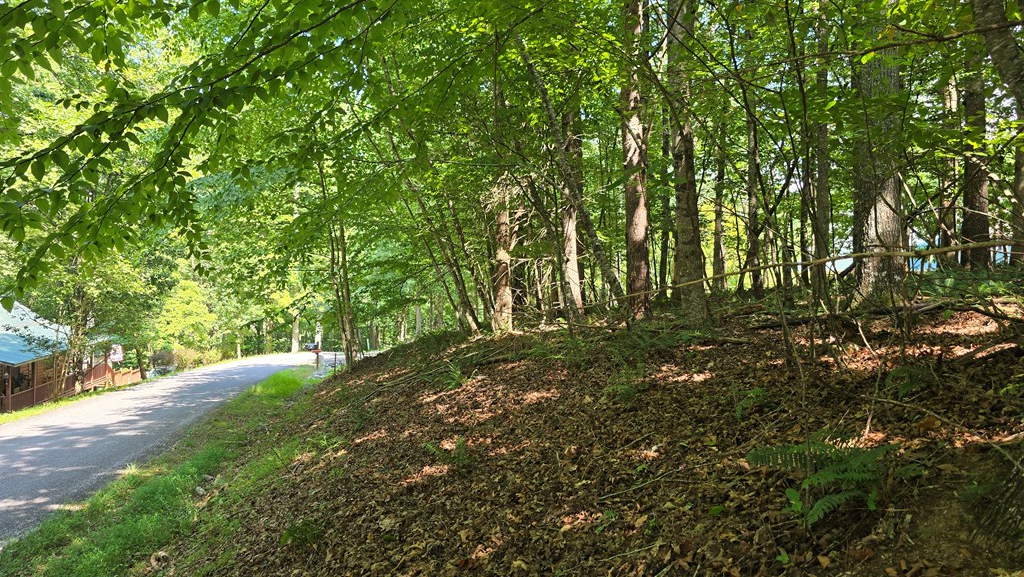 417496 Blairsville Land