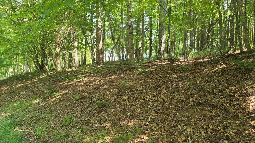 417496 Blairsville Land