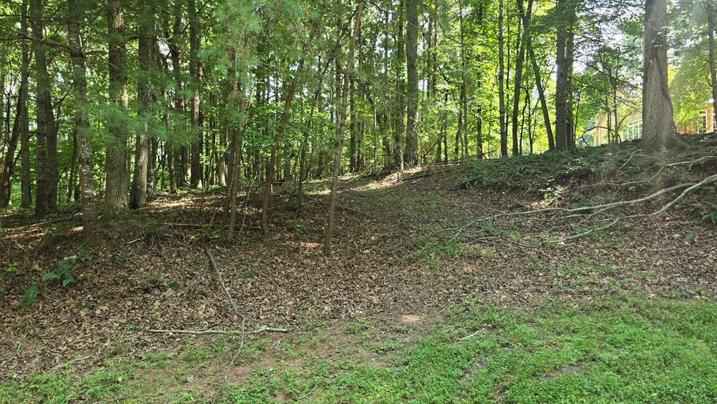 417496 Blairsville Land