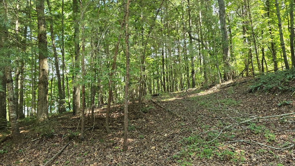 417496 Blairsville Land