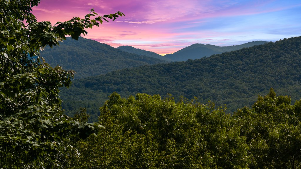 417499 Blue Ridge Residential