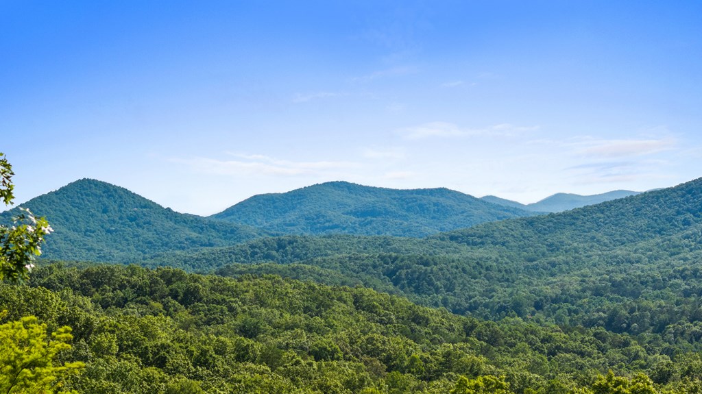 417499 Blue Ridge Residential