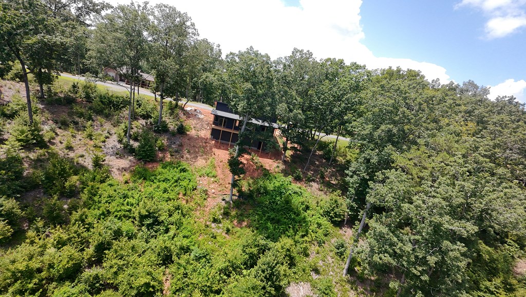 417501 Ellijay Residential