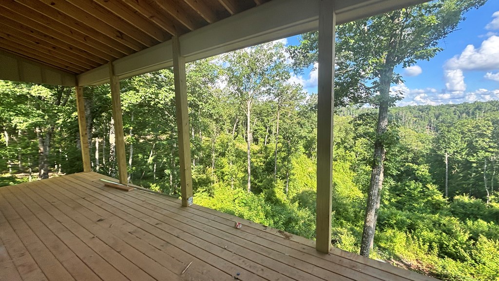 417501 Ellijay Residential
