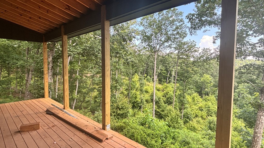 417501 Ellijay Residential
