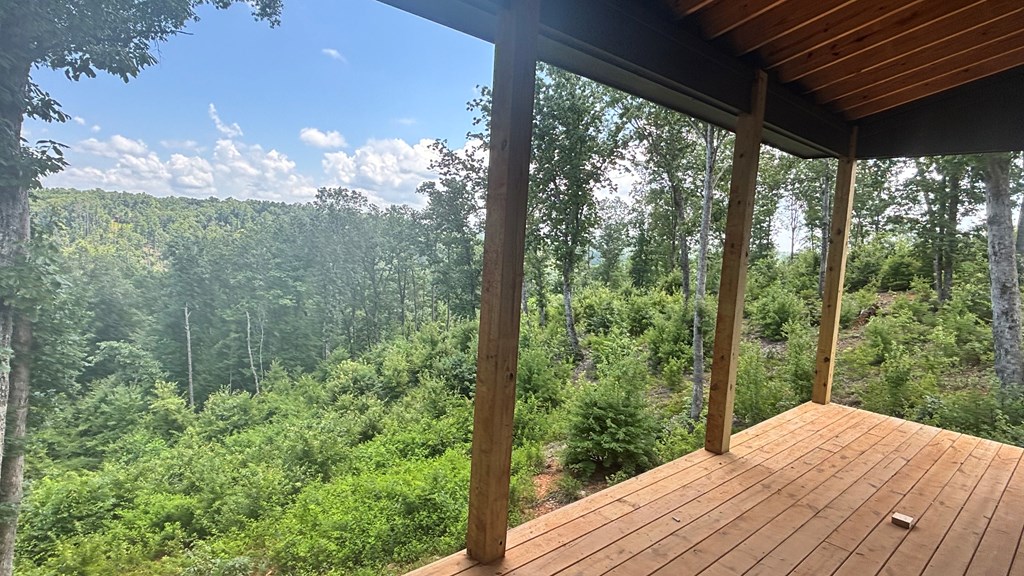 417501 Ellijay Residential