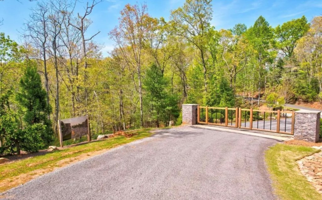 417501 Ellijay Residential