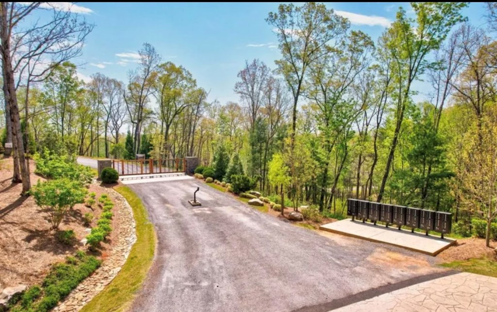 417501 Ellijay Residential