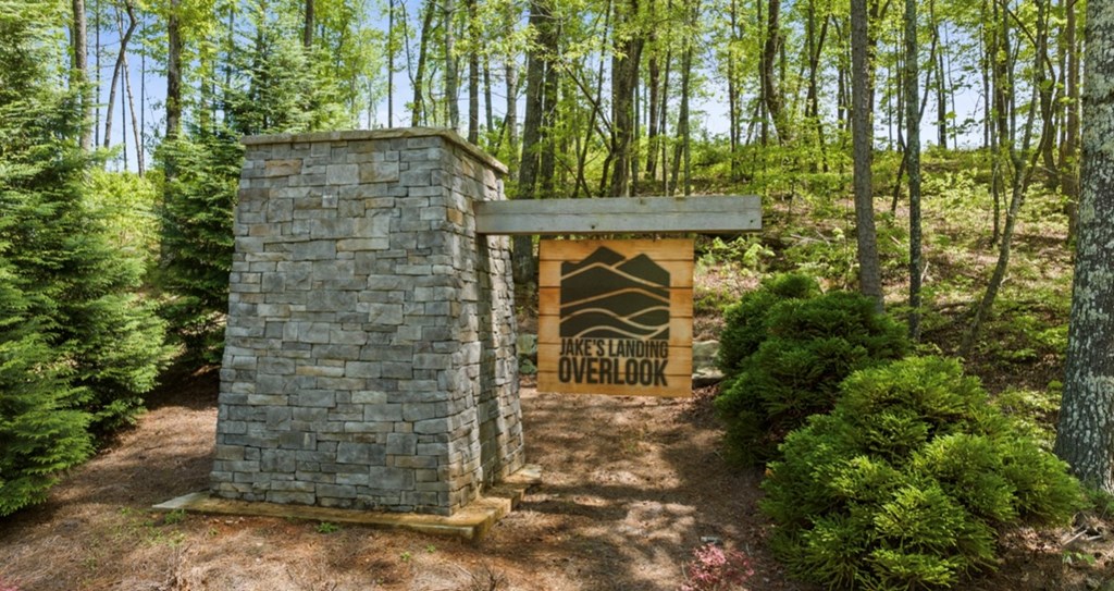 417501 Ellijay Residential