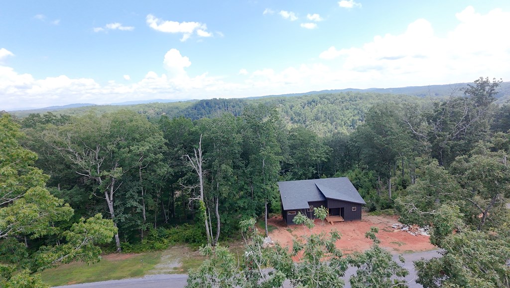 417501 Ellijay Residential
