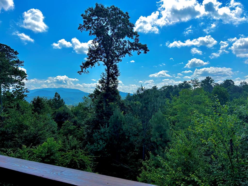 417505 Ellijay Residential