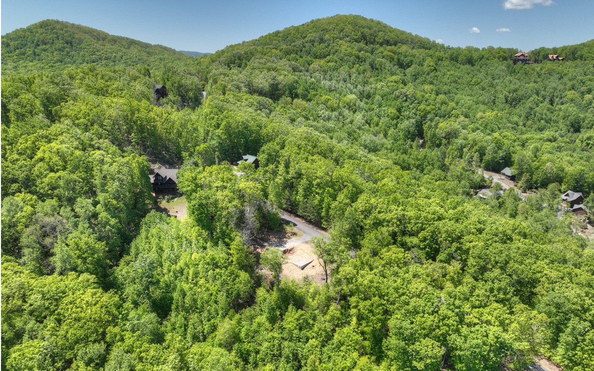 417511 Blairsville Land