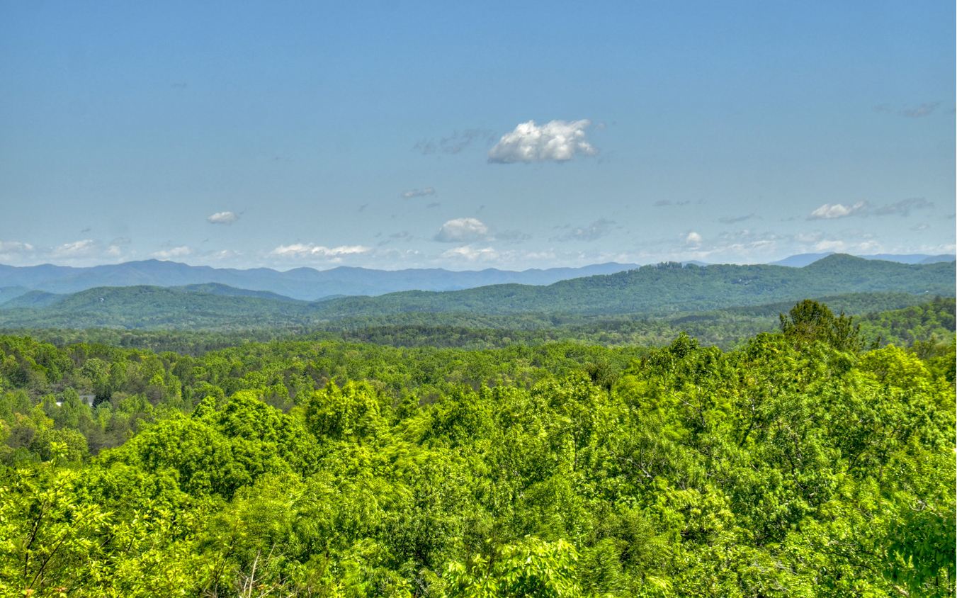 417511 Blairsville Land