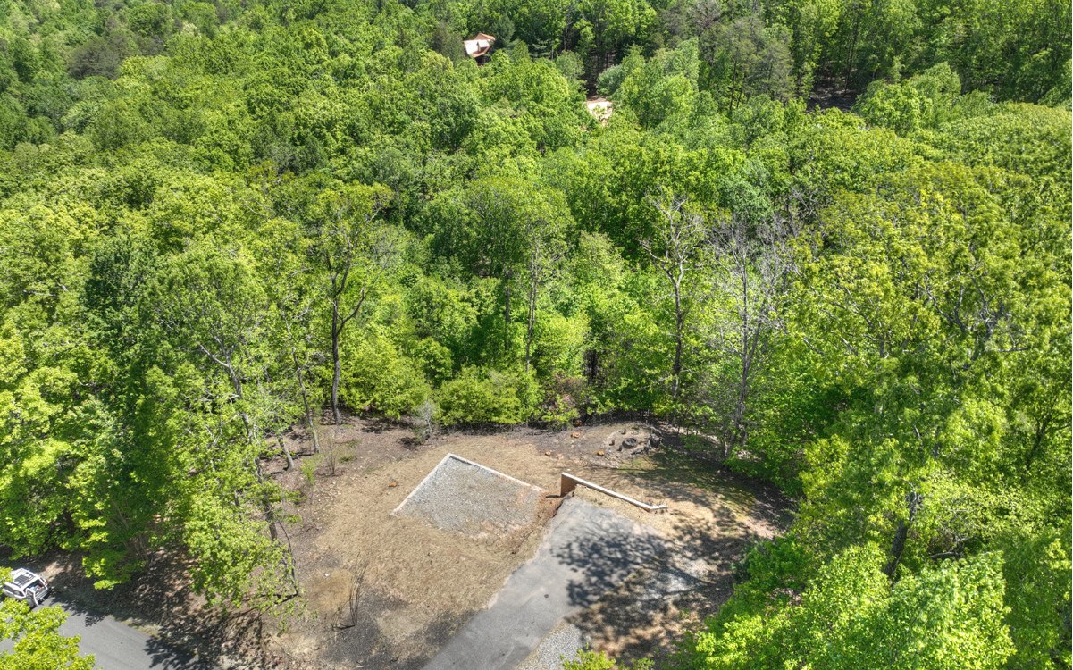 417511 Blairsville Land