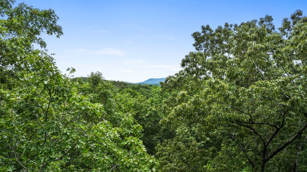 417517 Blue Ridge Residential