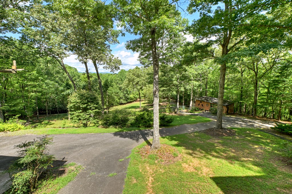 417518 Mineral Bluff Residential