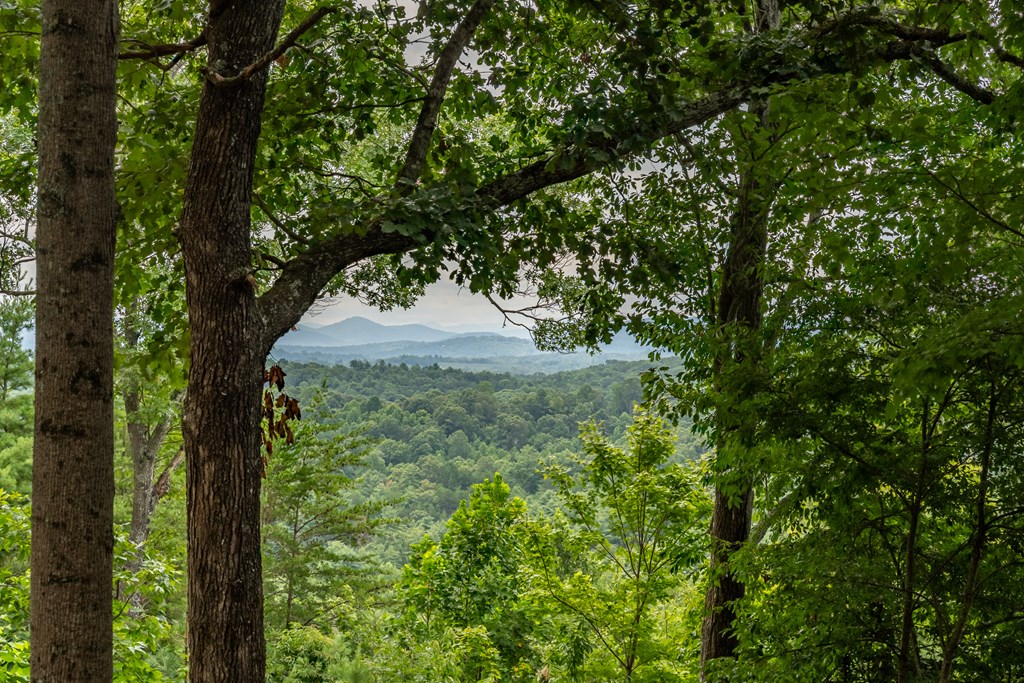 417519 Blue Ridge Residential