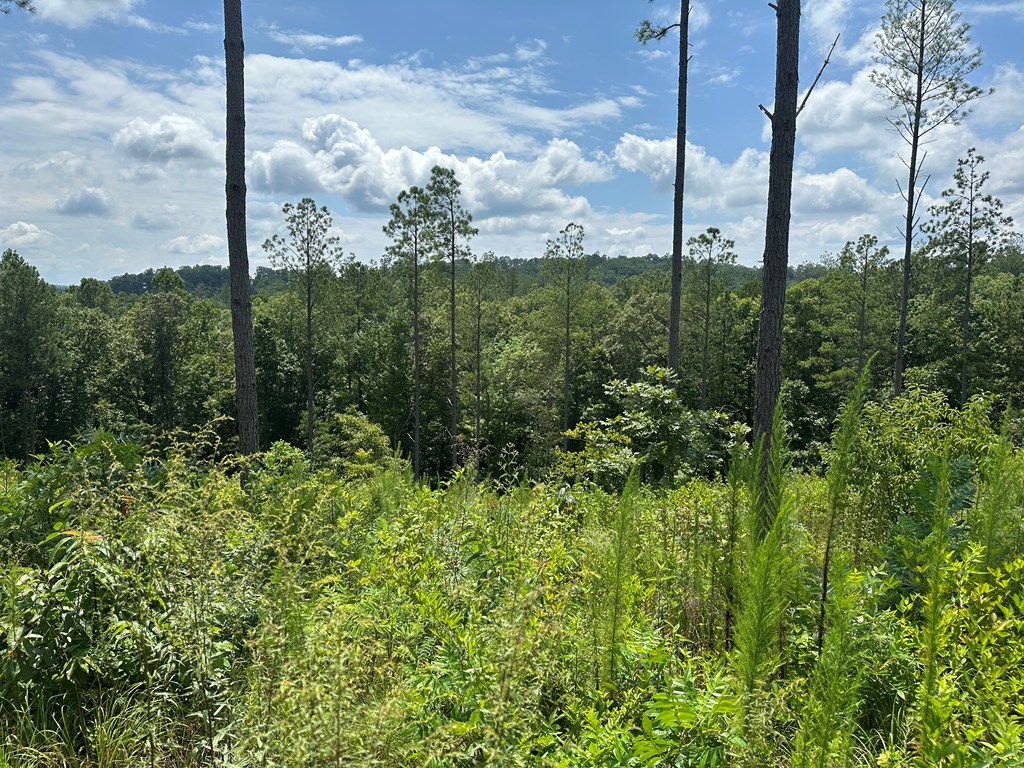 417526 Talking Rock Land