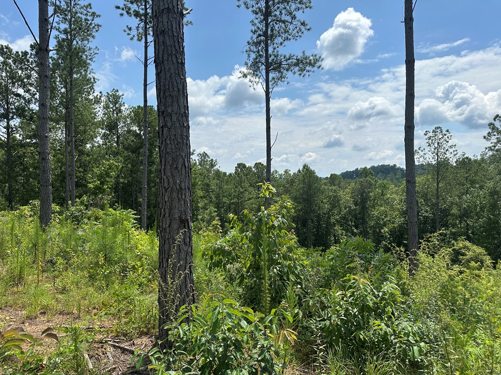417526 Talking Rock Land