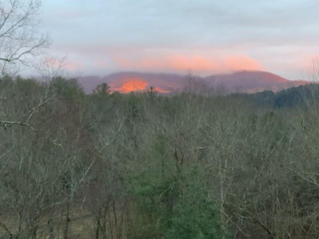 417527 Ellijay Residential
