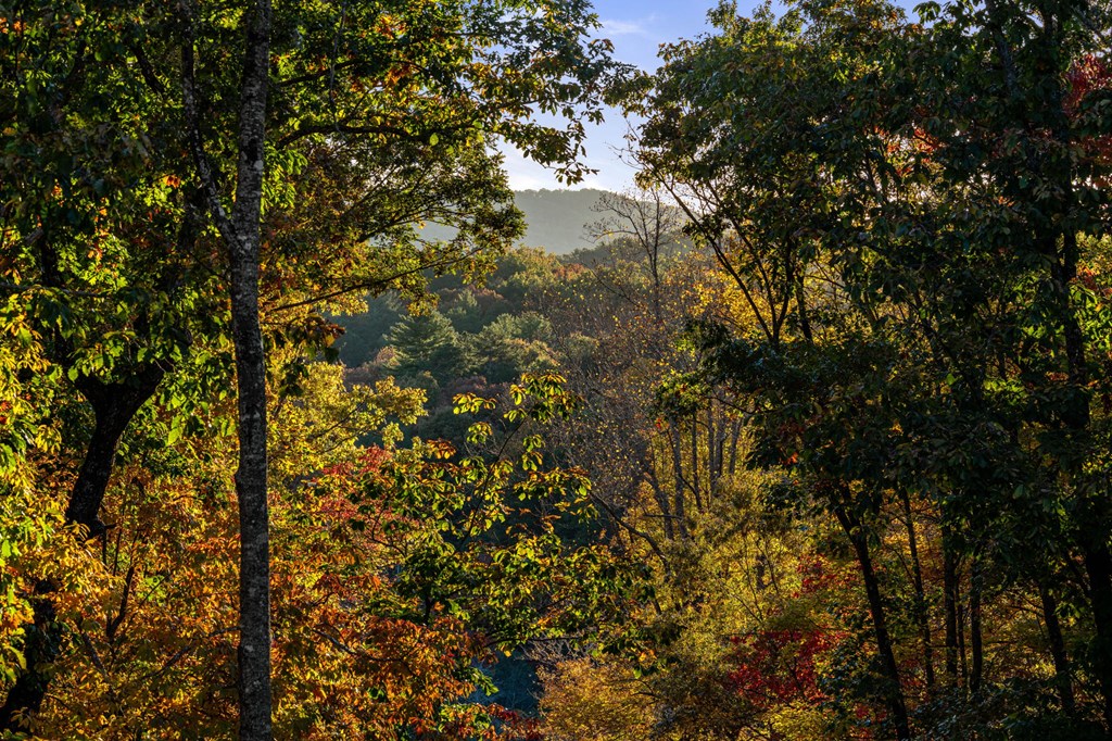 417529 Morganton Residential