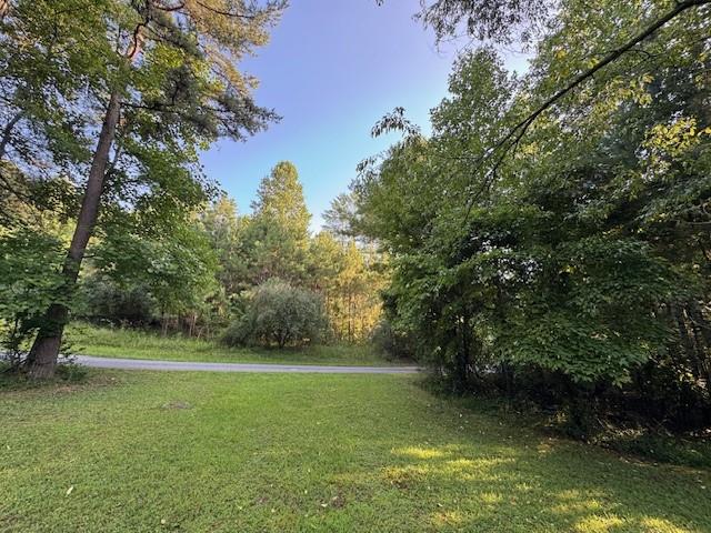 417530 Mineral Bluff 