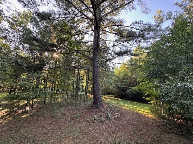 417530 Mineral Bluff Land