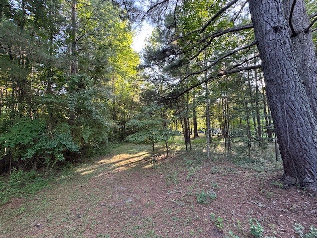 417530 Mineral Bluff Land