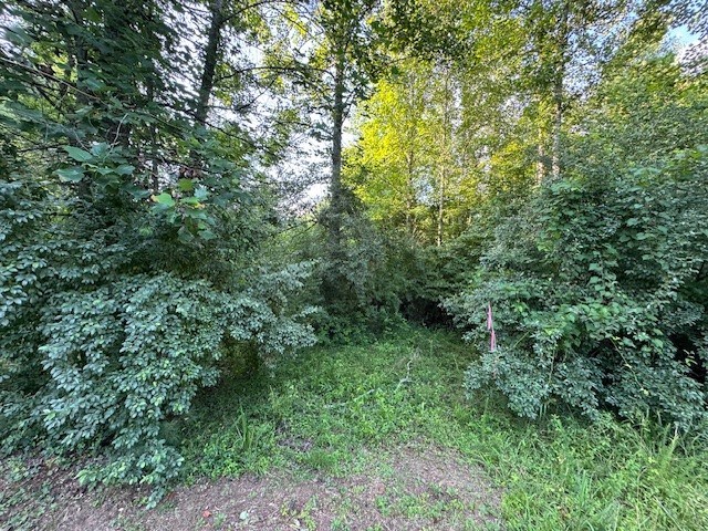 417532 Mineral Bluff Land