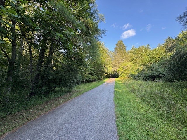 417532 Mineral Bluff Land