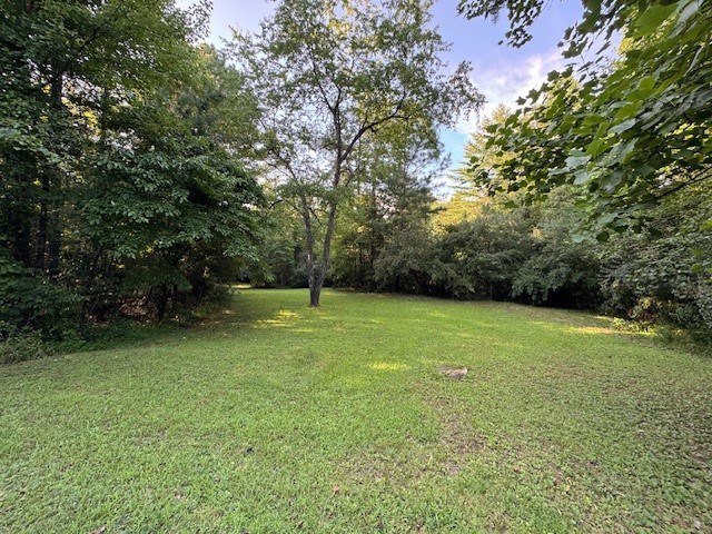417532 Mineral Bluff Land
