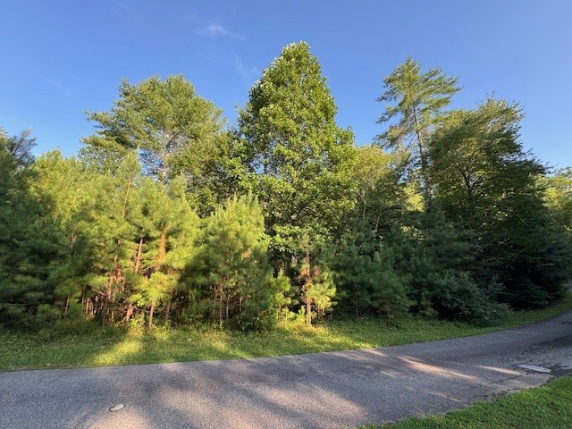 417532 Mineral Bluff Land
