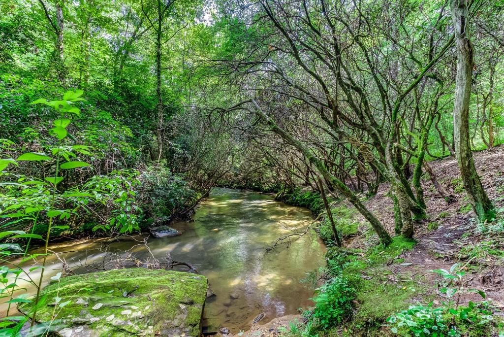 417532 Mineral Bluff Land