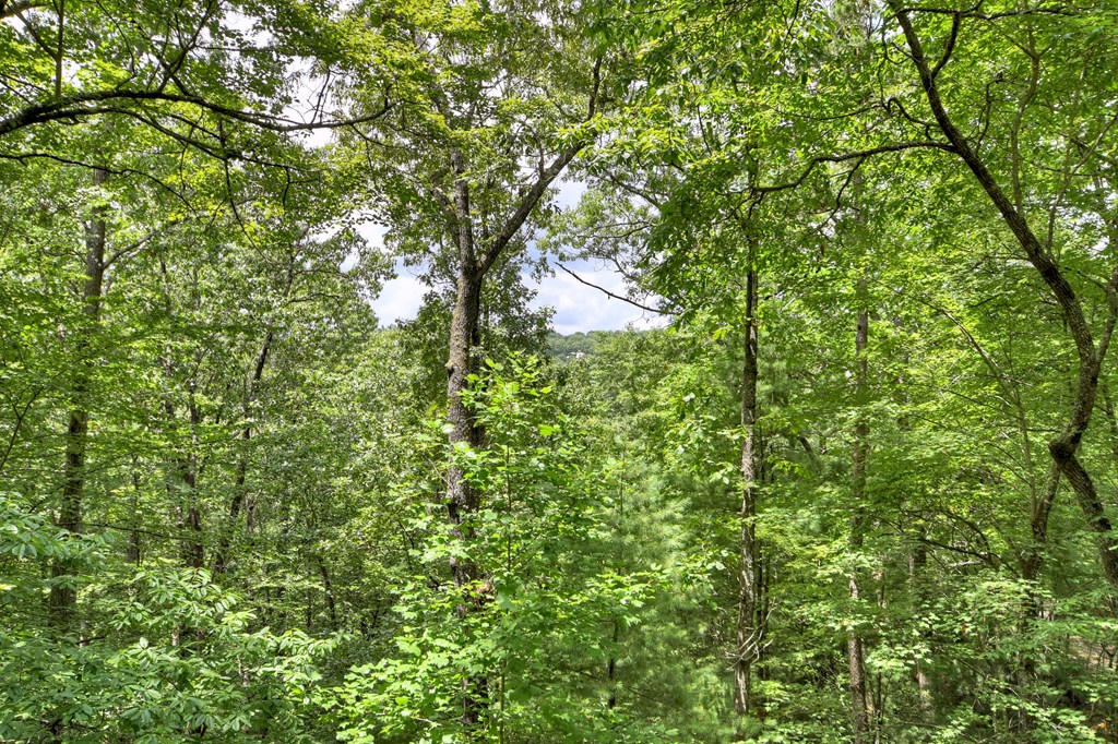 417533 Blue Ridge Residential